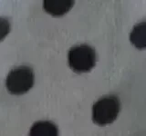 طوسی