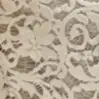 کرم